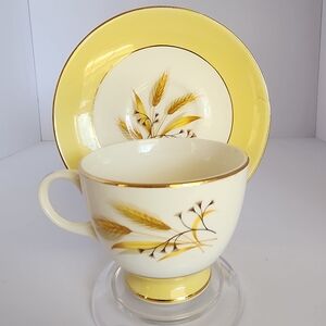 Homer Laughlin Century Service Corporation Autumn Gold Footed Teacup and Saucer